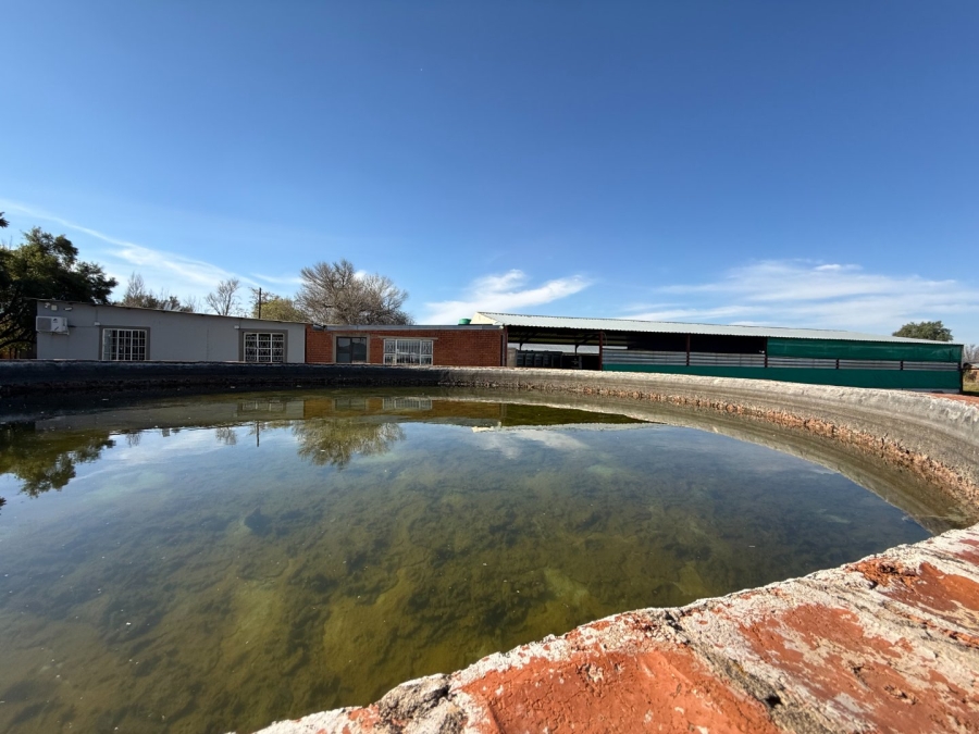 Commercial Property for Sale in Bloemdal Free State